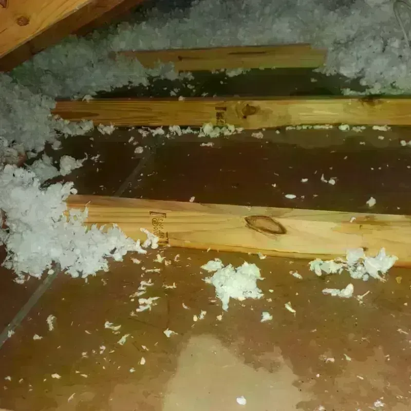 Attic Water Damage in Saint Francis, WI